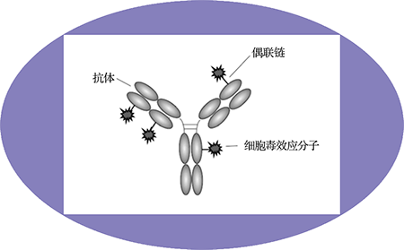 pg电子官网ADC临床前服务之ADC结构