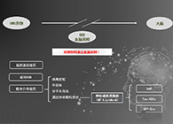 人工合成NT类脂质开放血脑屏障，为CNS药物打开新局面