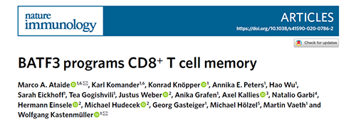 Nature：BATF3改善T细胞记忆应答，有望改善免疫疗法的疗效