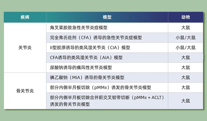 世界关节炎日：突破上亿人的共同难关，持续探索关节炎新药