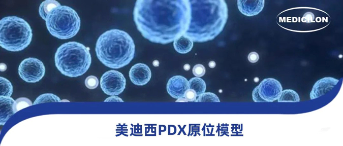 pg电子官网118种PDX原位模型，助力肿瘤药物研发.webp