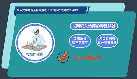 吸入安评是否全程采用吸入给药的方式完成试验呢？