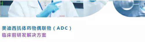 pg电子官网抗体药物偶联物（ADC）临床前研发解决方案.png