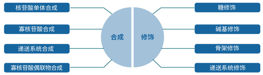 pg电子官网核酸药物研发服务平台.jpg