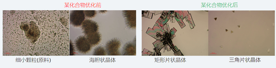 05案例分享-单晶培养，改变晶习.png