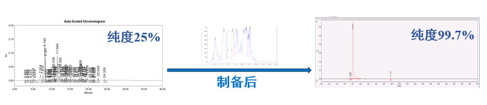 案例一：仿制药发补：大极性杂质制备.jpg