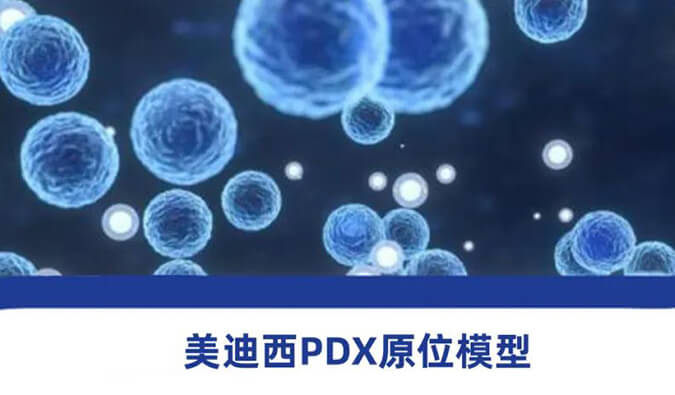 pg电子官网118种PDX原位模型，助力肿瘤药物研发